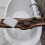Designed Bathtubes & Sinks and Trays