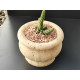 Travertine Natural Stone Flowerpot