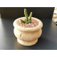 Travertine Natural Stone Flowerpot