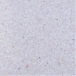 Electra Terrazzo Tile 2 X 40 X 40 CM Electra Terrazzo Tile 2 X 40 X 40 CM