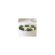 Jade - Mother of Pearl Bracelet Gold Plated Detailed