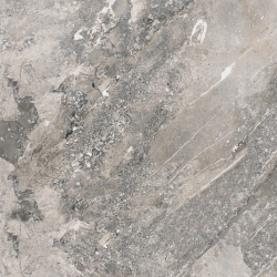 Eola Polish 100x100 Porcelain Tiles | AhdeArt 
