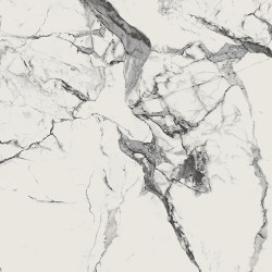 Newport-Polish-100x100 Ceramic Tile