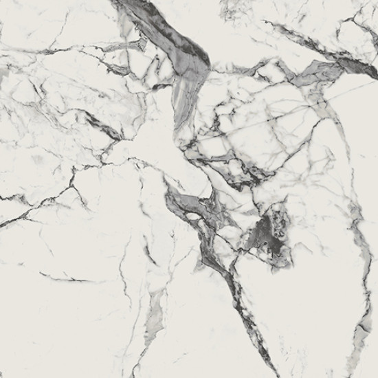 Newport-Polish-100x100 Ceramic Tile Newport-Polish-100x100 Ceramic Tile