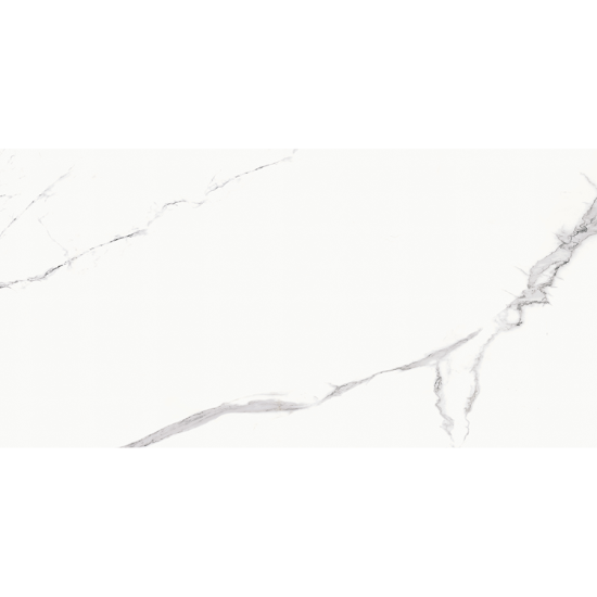 Statuario Goya 60x120 7mm