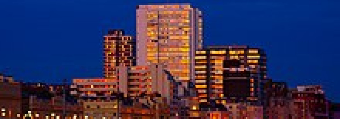 Brighton & Hove The Best in Natural Stone, Jewelry, and Ceramics