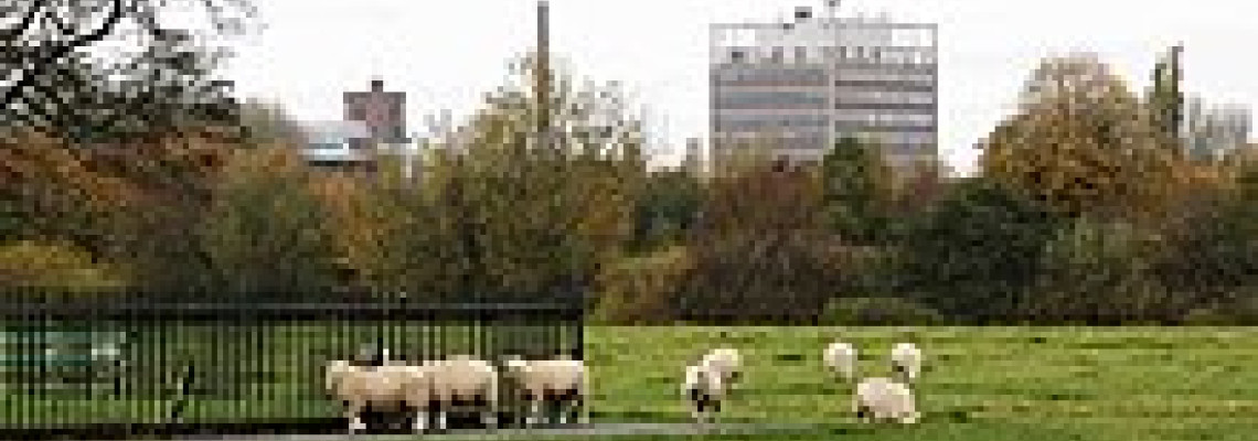 Carlisle The Best in Natural Stone, Jewelry, and Ceramics