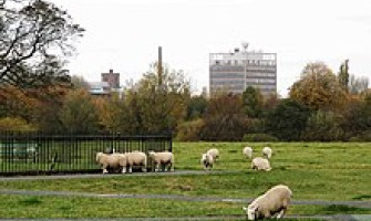 Carlisle The Best in Natural Stone, Jewelry, and Ceramics