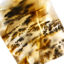 Dendritic Agate Natural Stone Pendant