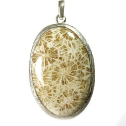 Coral Fossil Natural Stone Silver Pendant