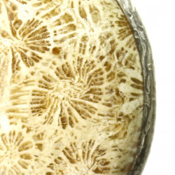 Coral Fossil Natural Stone Silver Pendant