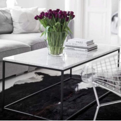 Carrara White Marble Coffee Table Rectangular