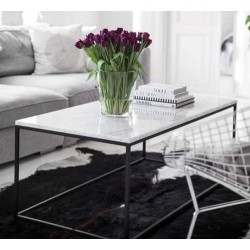 Carrara White Marble Coffee Table Rectangular