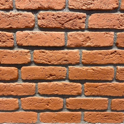 Coral Decorative Facing Wall Brick