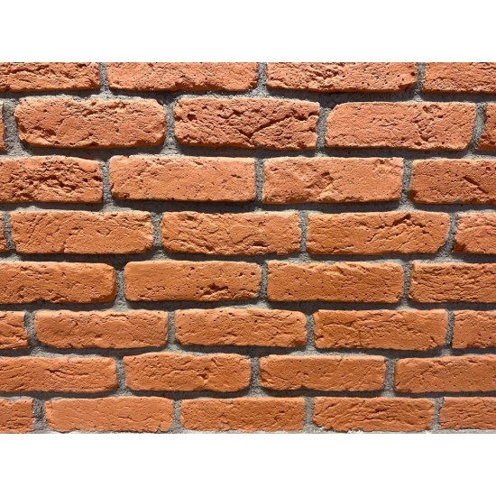 Coral Decorative Facing Wall Brick