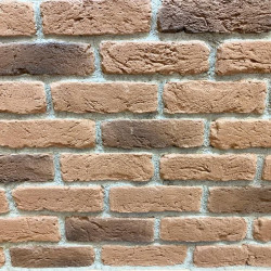 Antico Decorative Facing Wall Brick 